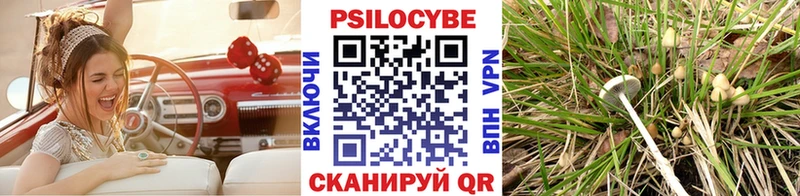 Галлюциногенные грибы мухоморы  даркнет сайт  Зея 